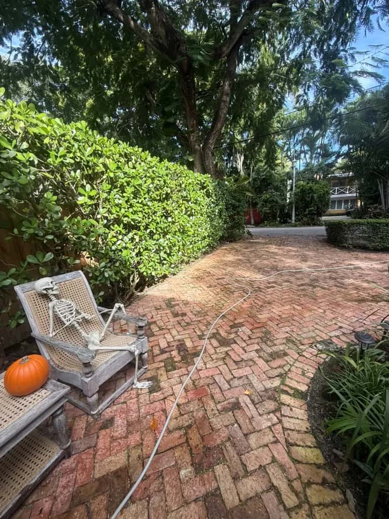 Brick driveway darkened by dirt before cleaning