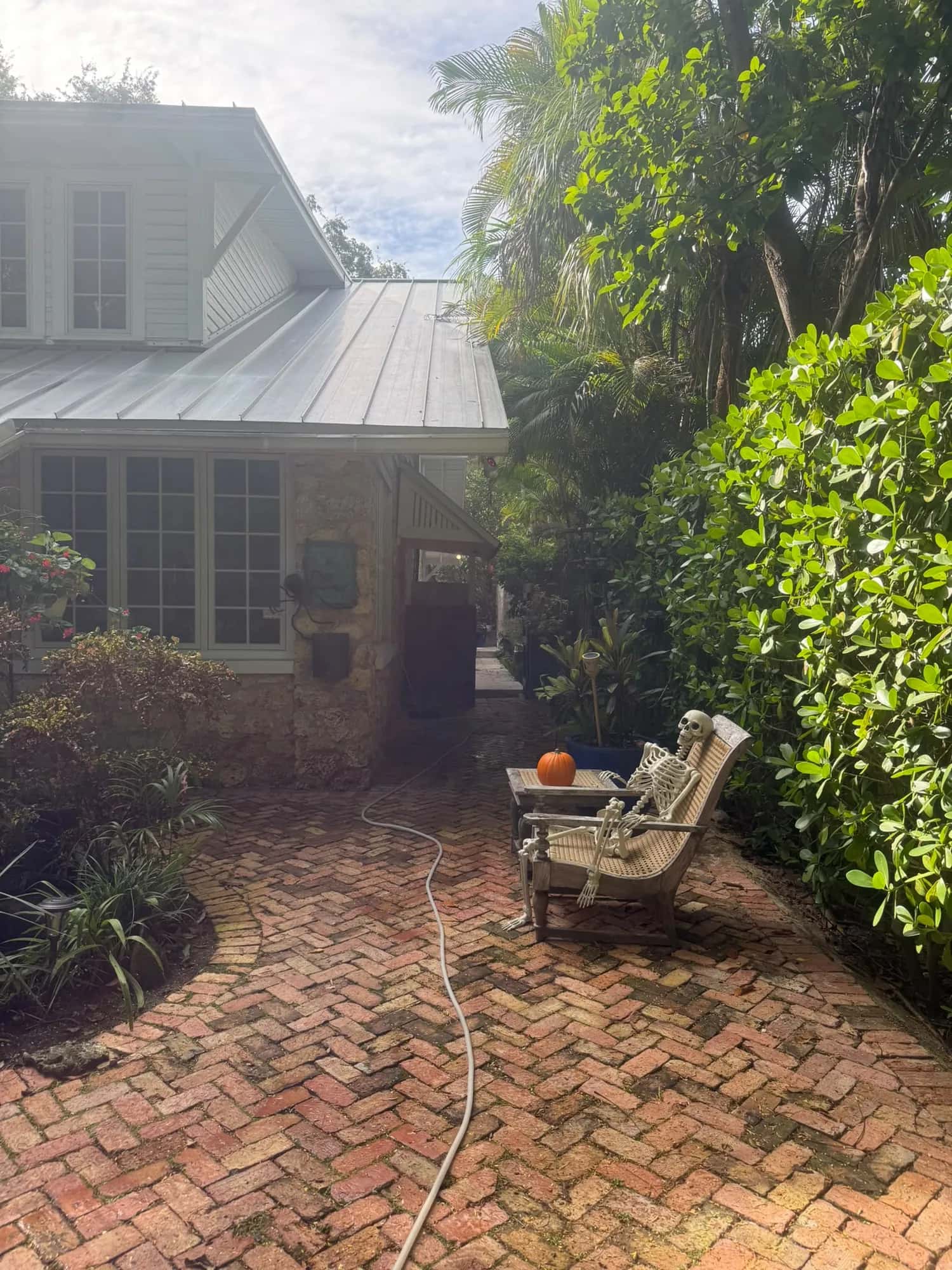 Herringbone brick patio with mildew before pressure cleaning