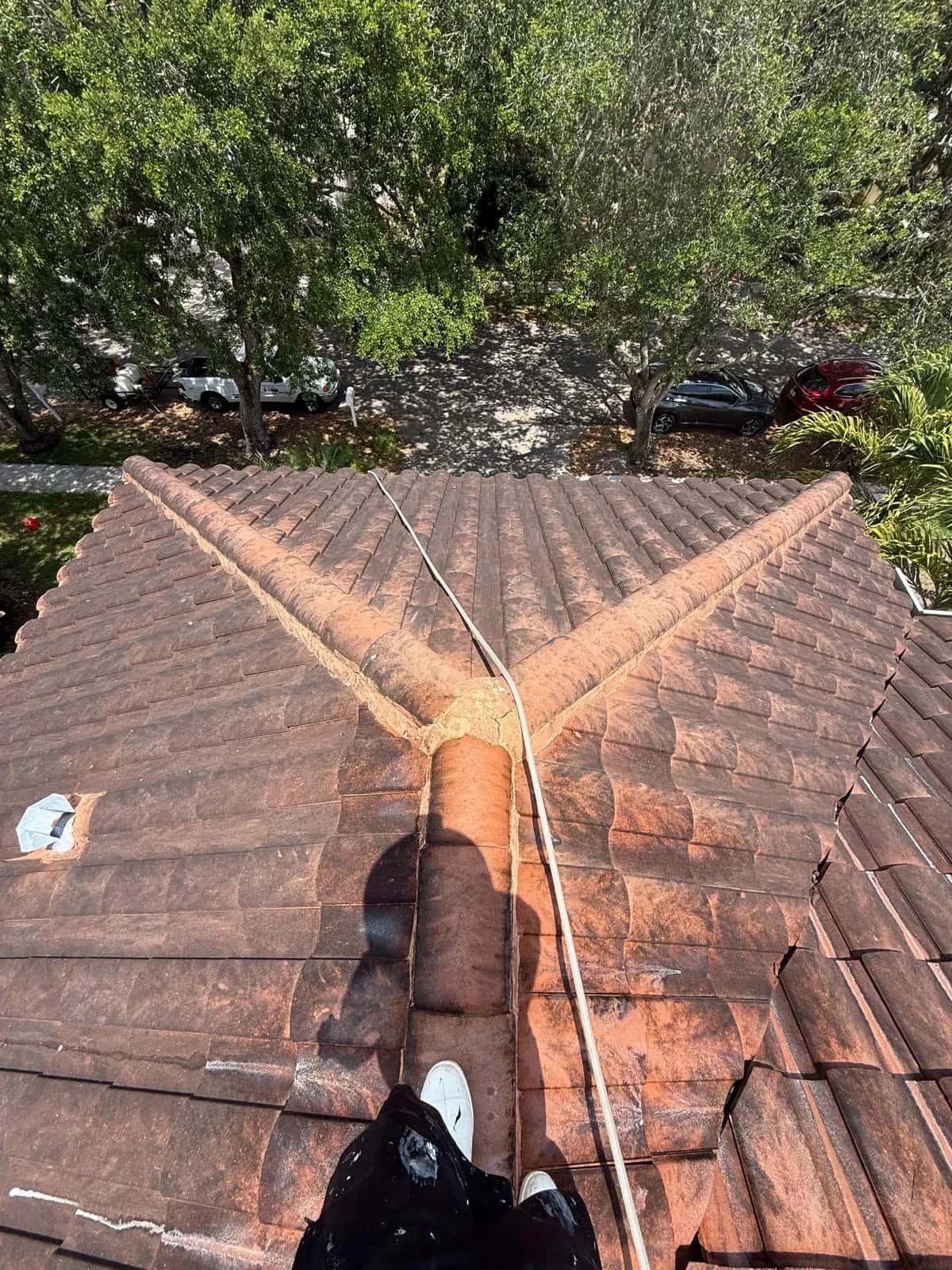 Terracotta barrel tile roof dark with mold before cleaning