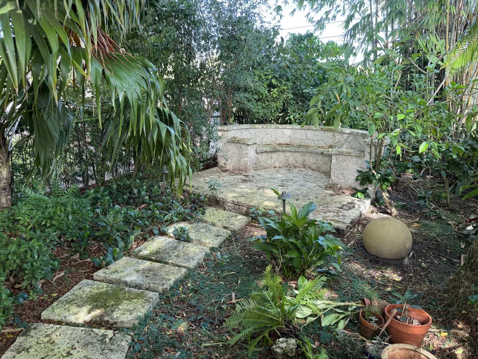 Green, mossy coral stone stepping stones before cleaning