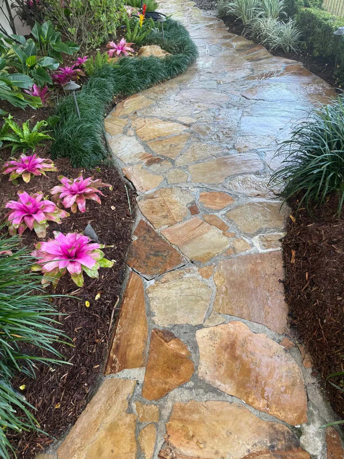Flagstone walkway with vivid stone color after cleaning